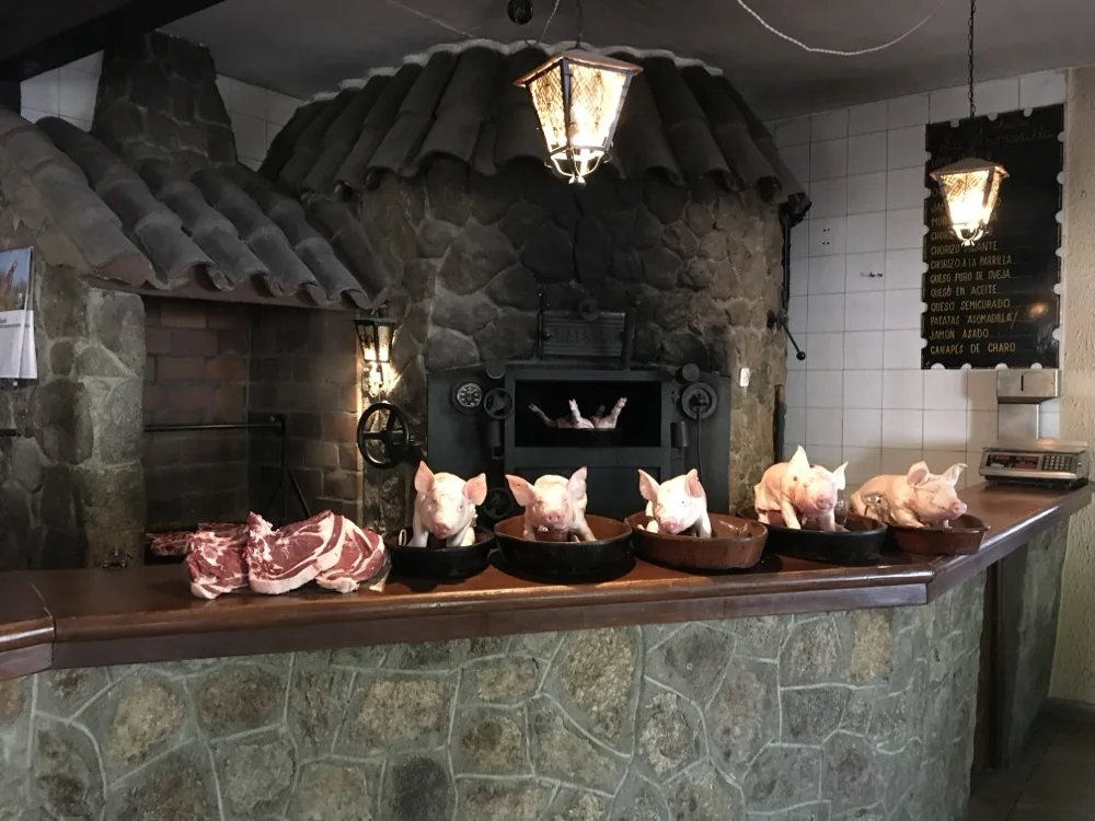 Cochinillo lechal asado