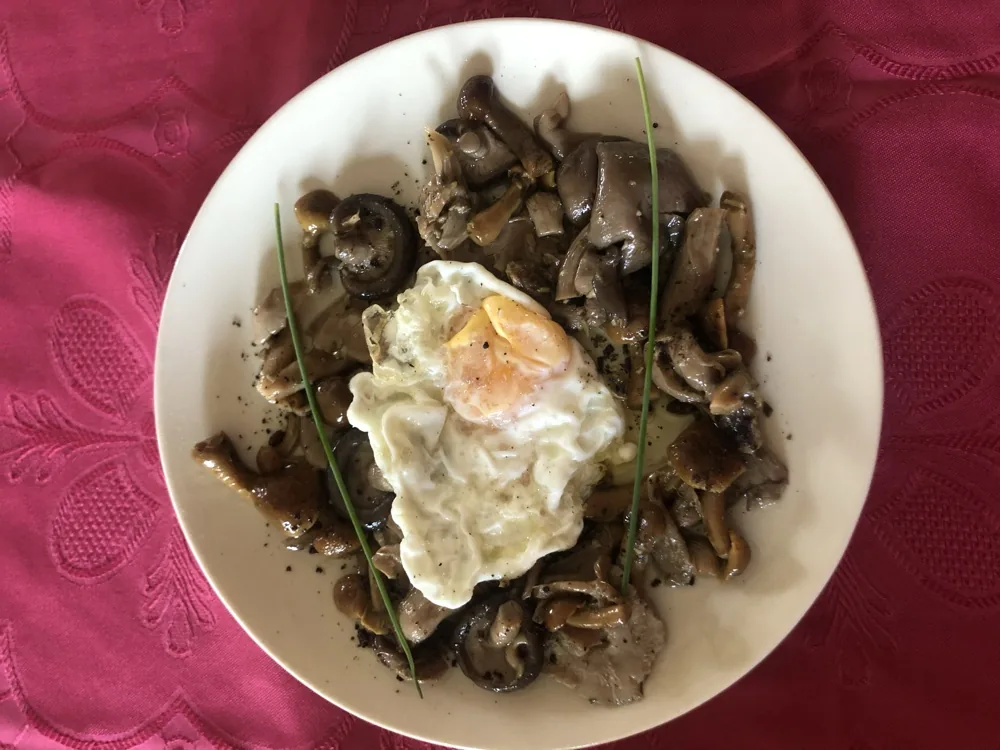 Boletus a la plancha